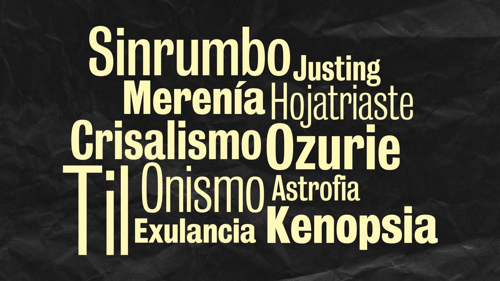 Algunas de las palabras recogidas en el libro por John Koenig