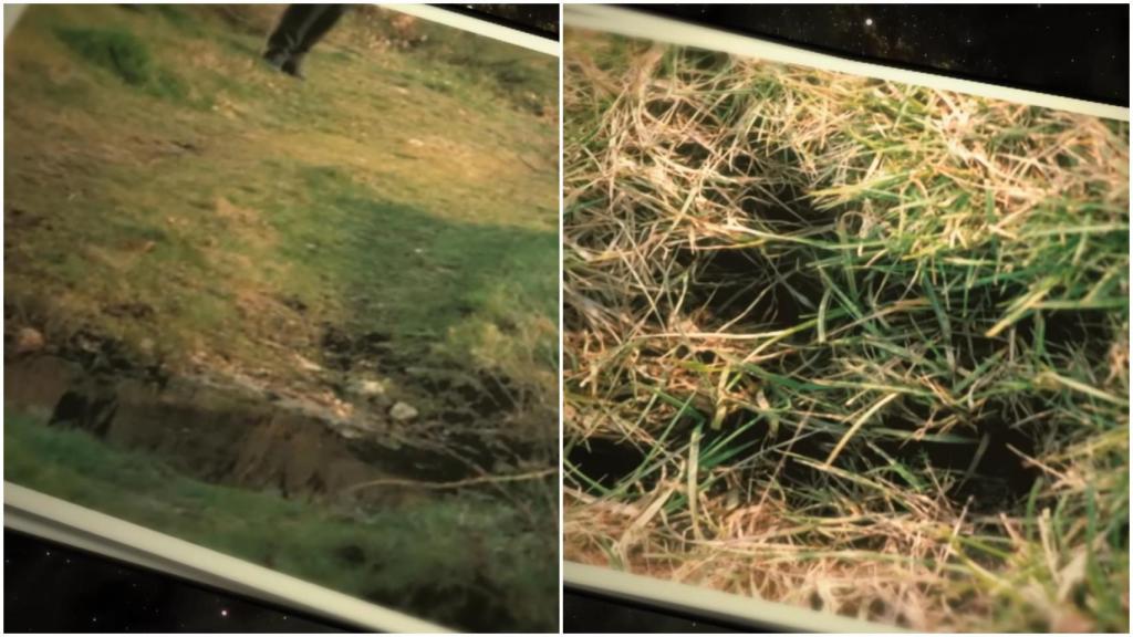 Imágenes de las marcas y las huellas.