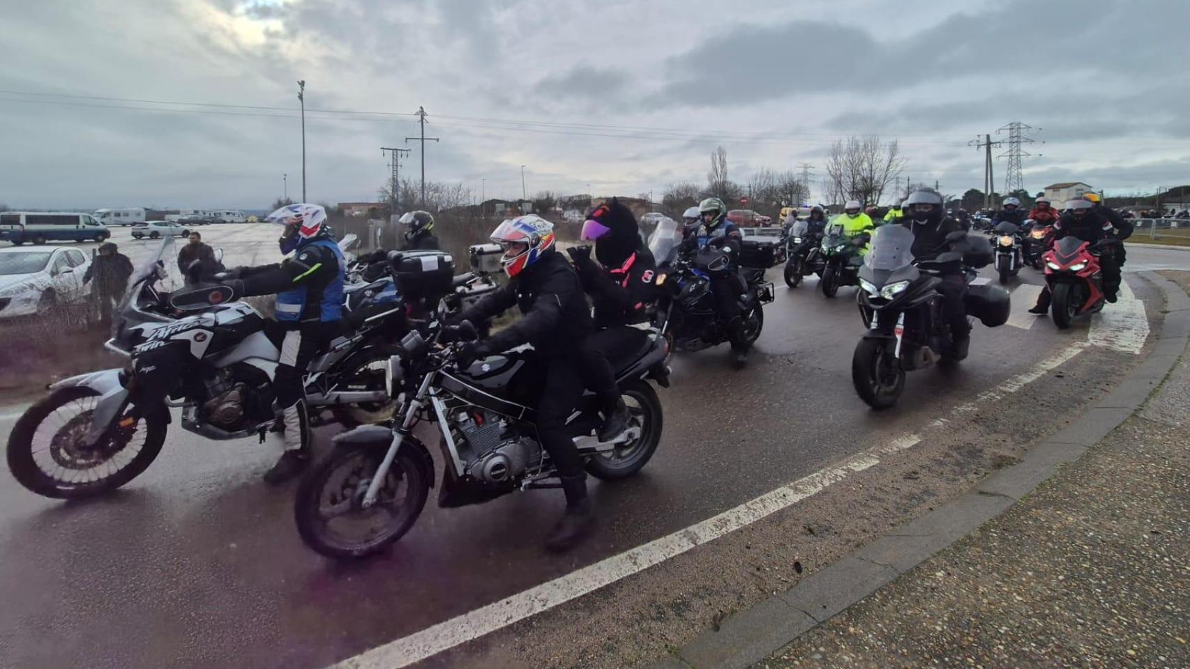 Miles de Motauros a su salida del municipio vallisoletano de Tordesillas, este sábado