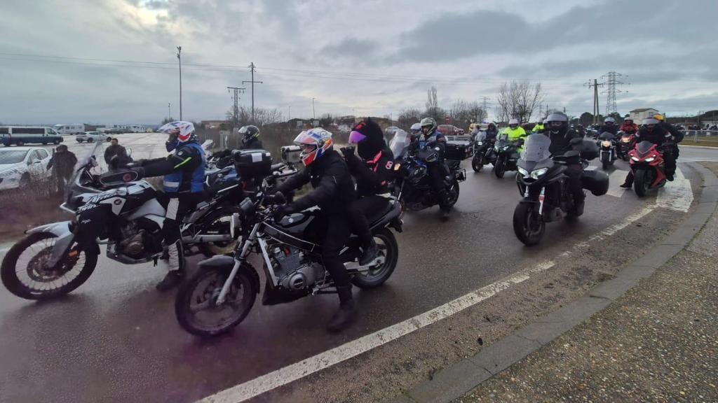 Miles de Motauros a su salida del municipio vallisoletano de Tordesillas, este sábado