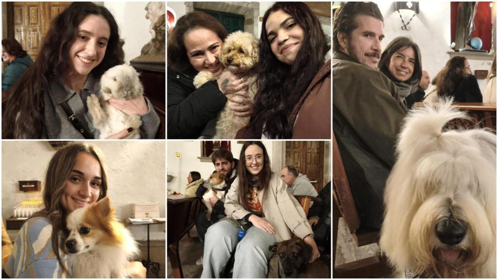 Las mascotas de A Coruña se visten de gala para la misa más salvaje por San Antonio Abad