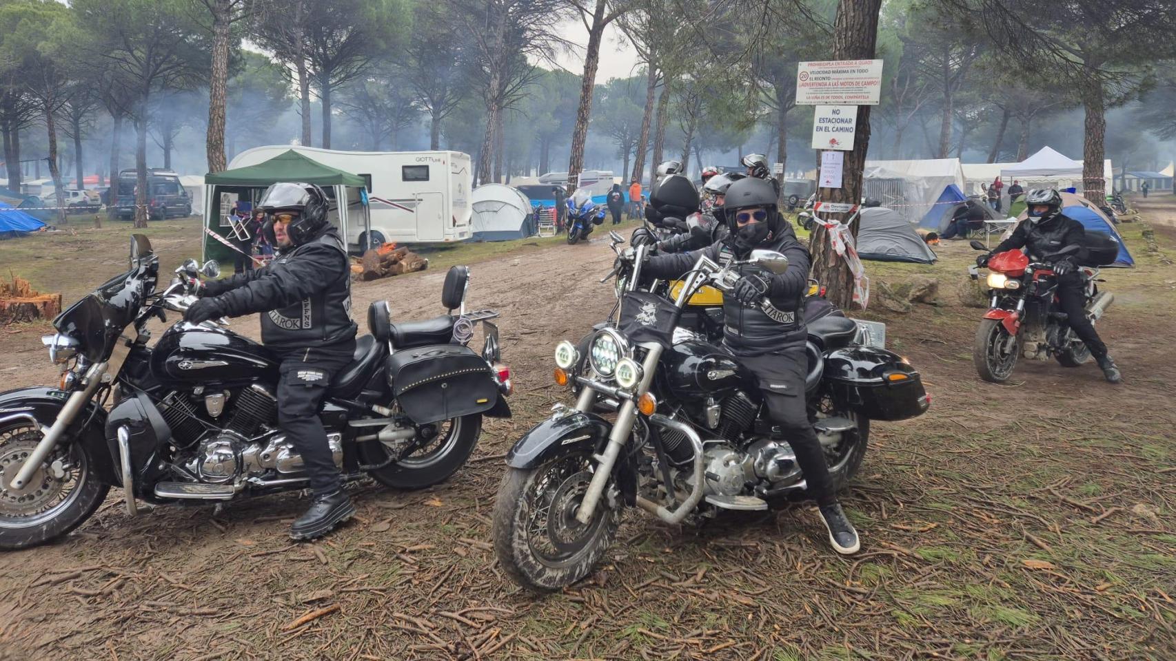 Motauros en la Campa de Valdegalindo