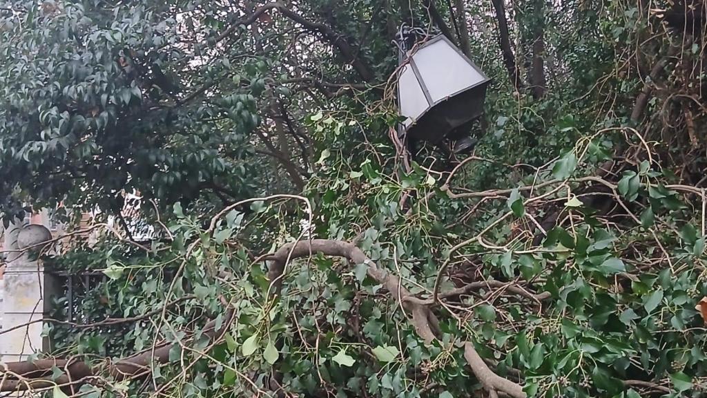 La farola que ha resultado afectada tras la caída.