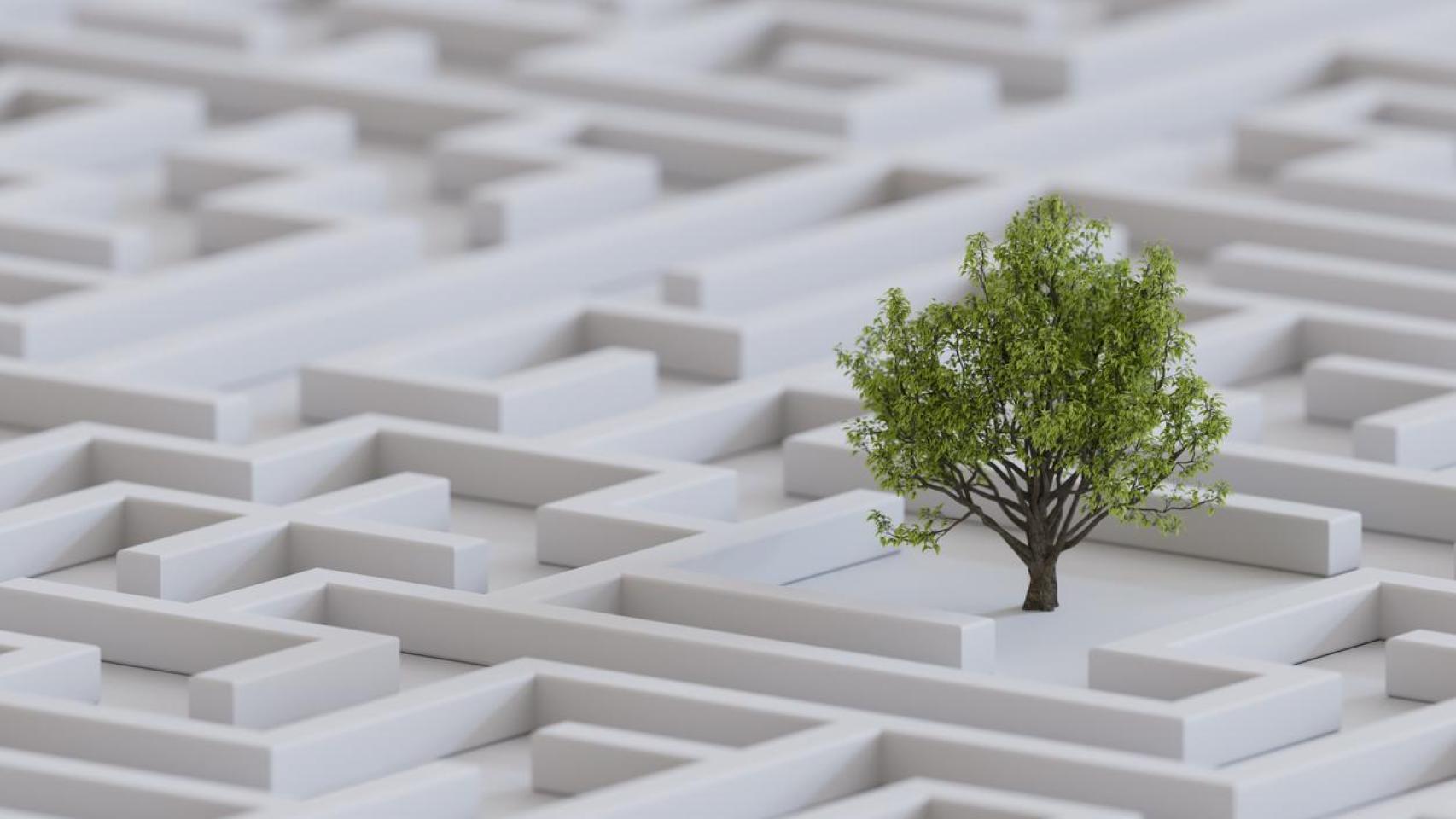 La sostenibilidad no puede esperar: el retroceso normativo no elimina los riesgos reales