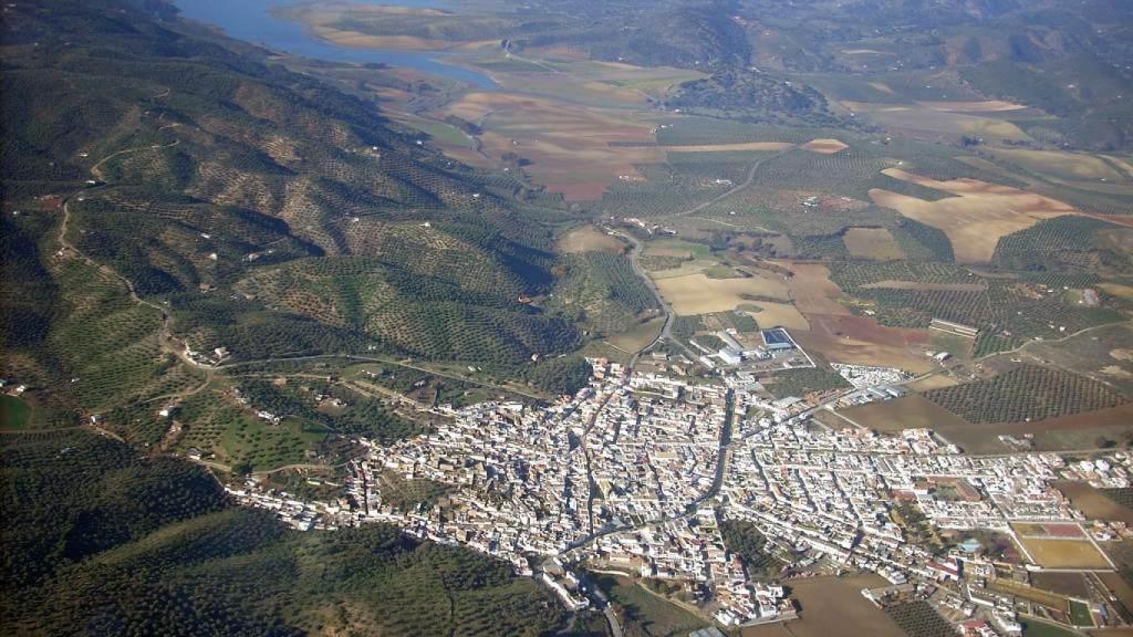 Imagen aérea de La Puebla de Los Infantes