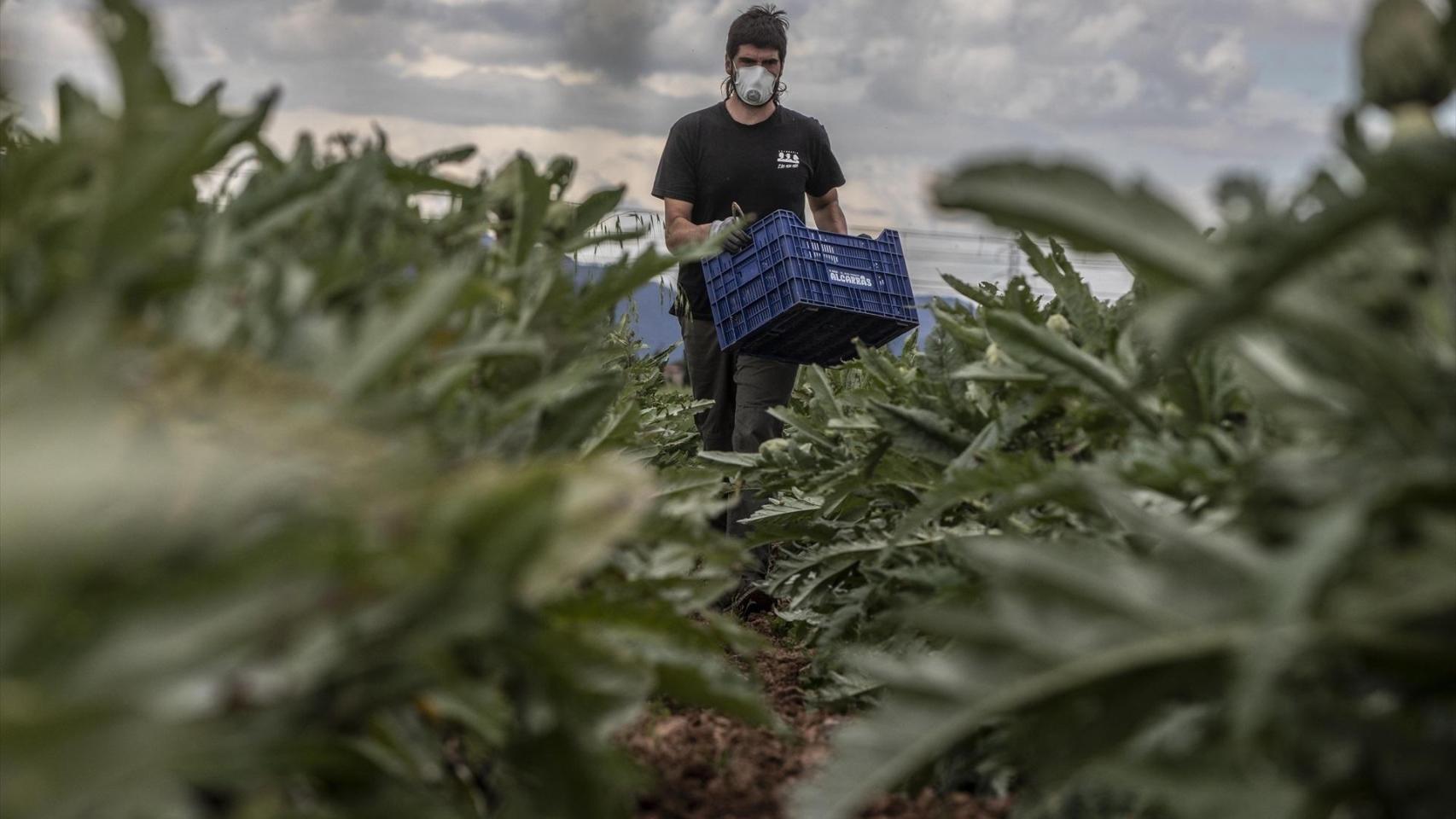Agricultor valenciano. Rober Solsona/Europa Press