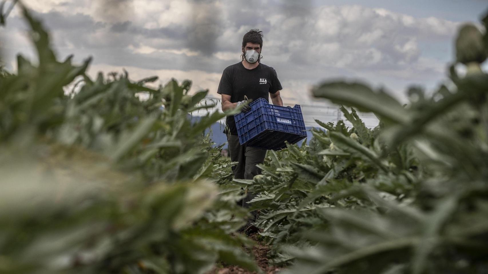 Agricultor valenciano. Rober Solsona/Europa Press