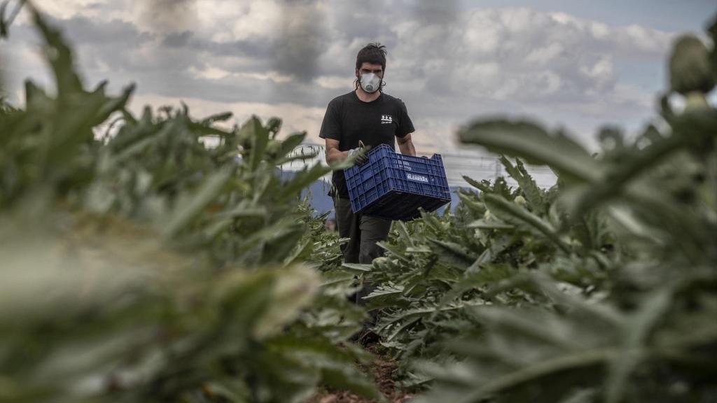 Agricultor valenciano. Rober Solsona/Europa Press