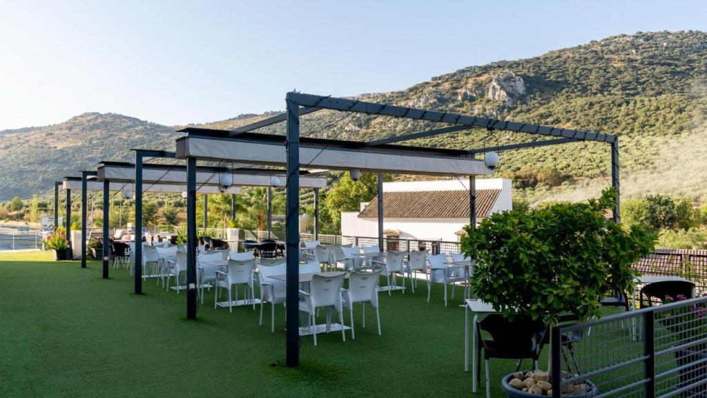 Ángel lidera este proyecto mientras sigue estudiando.