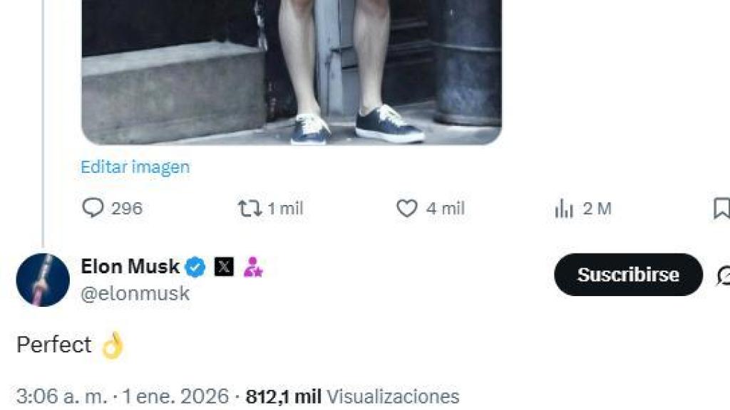 Elon Musk interactuando con la IA que lo puso en bikini.