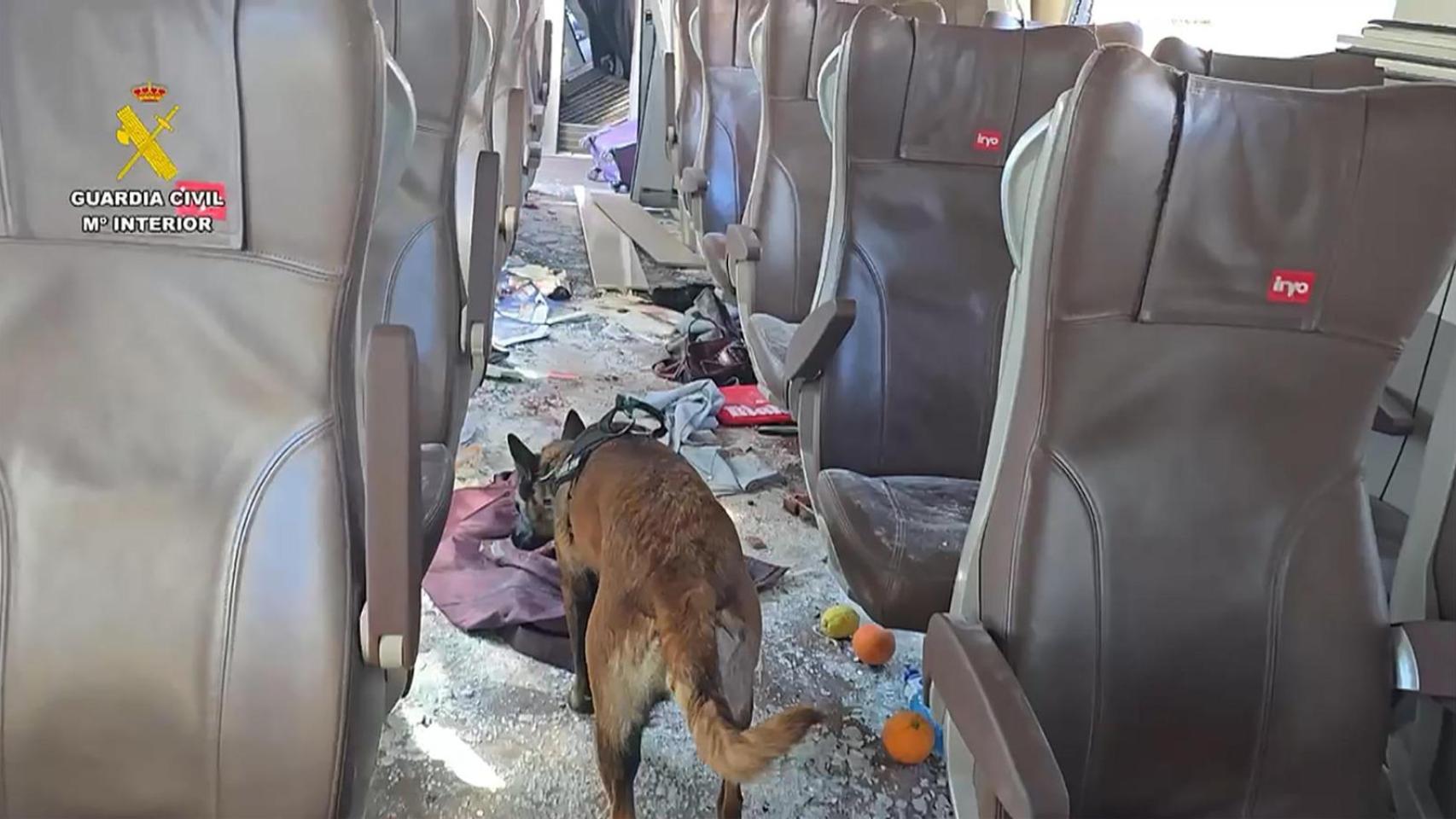 Cleo, uno de los agentes caninos de la Guardia Civil, inspecciona el tren Iryo, que partió desde Málaga en dirección Madrid.
