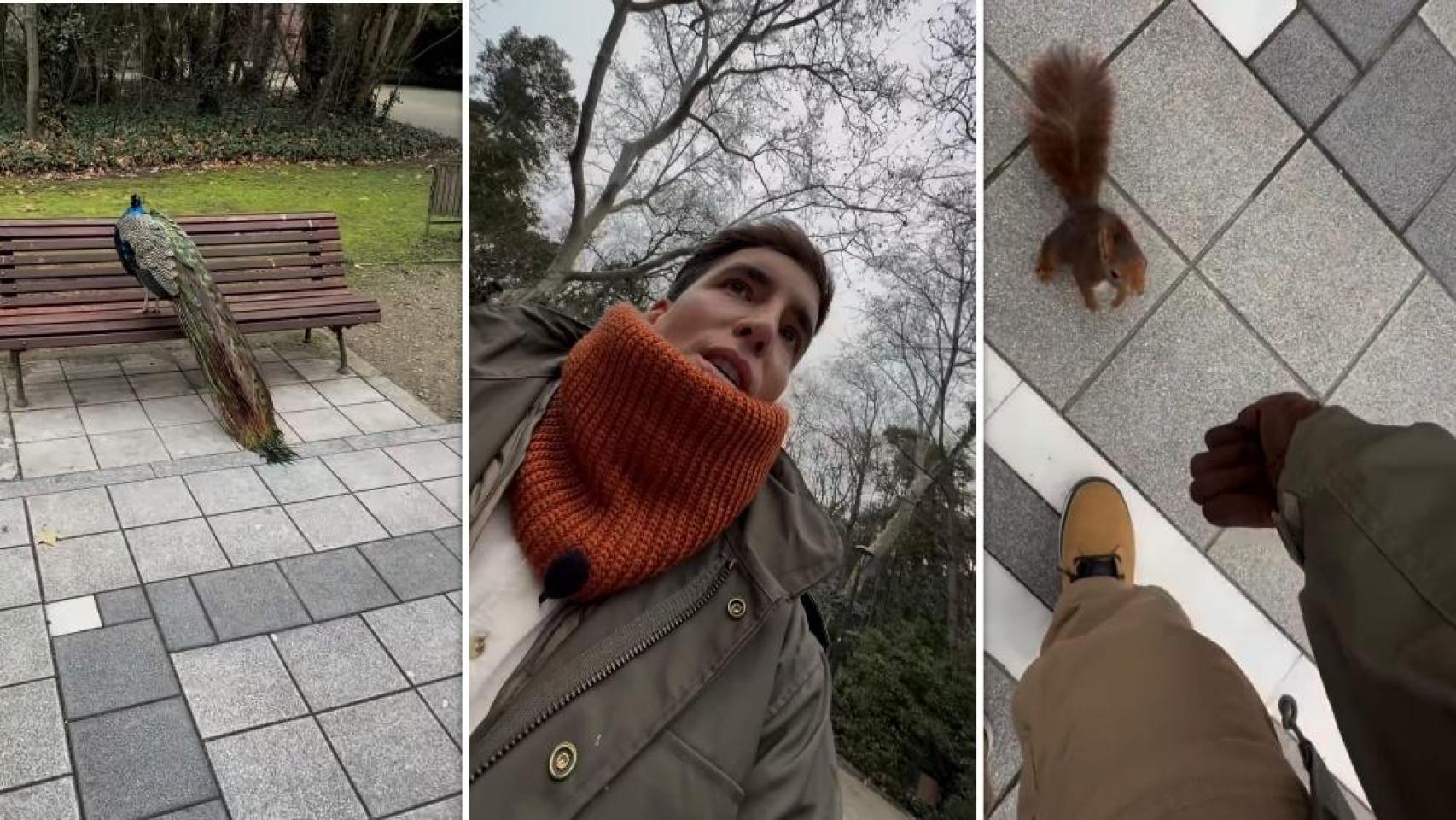 El presentador Xuso Jones en el Campo Grande de Valladolid