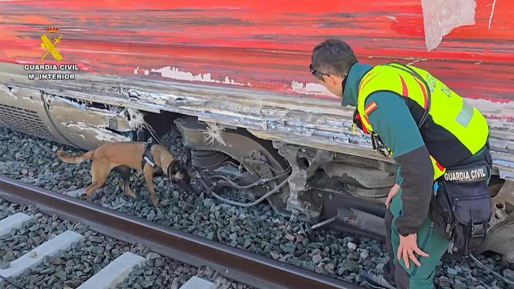 Un agente de la Guardia Civil rastrea este martes con un perro el exterior de uno de los vagones siniestrados del accidente ferroviario en Adamuz (Córdoba).