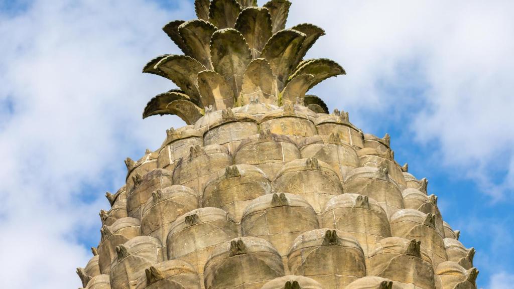 La piña, un objeto de lujo.