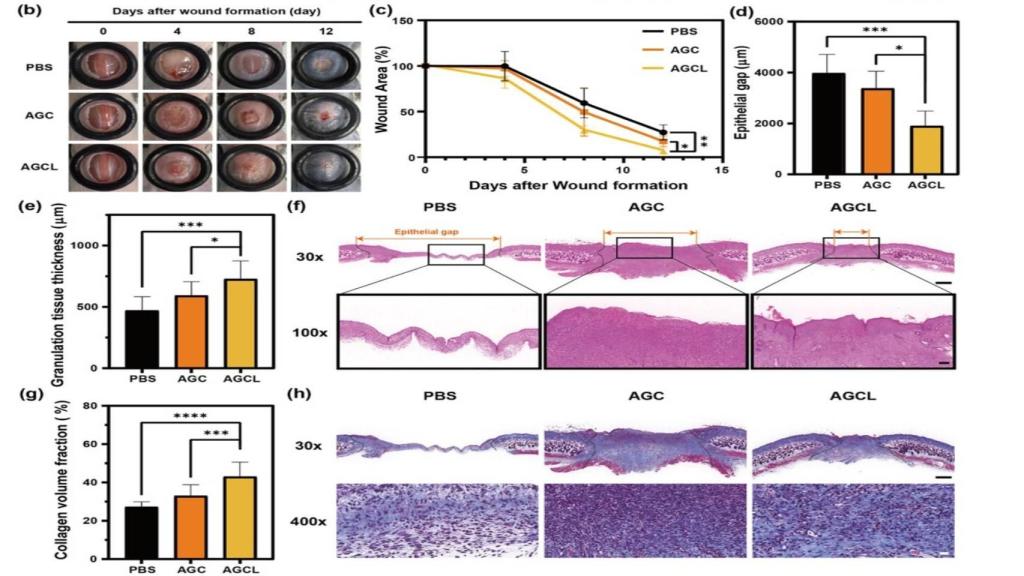 Esquema del funcionamiento del spray.