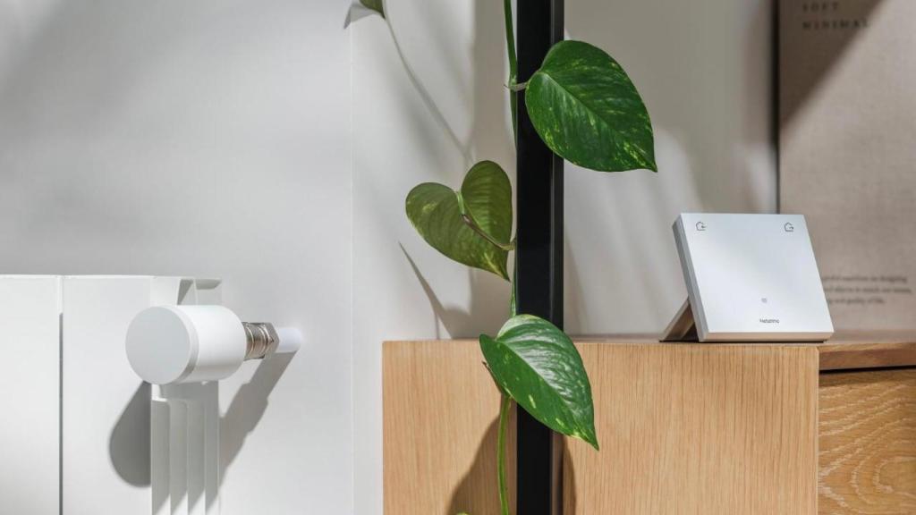 Termostato y válvula