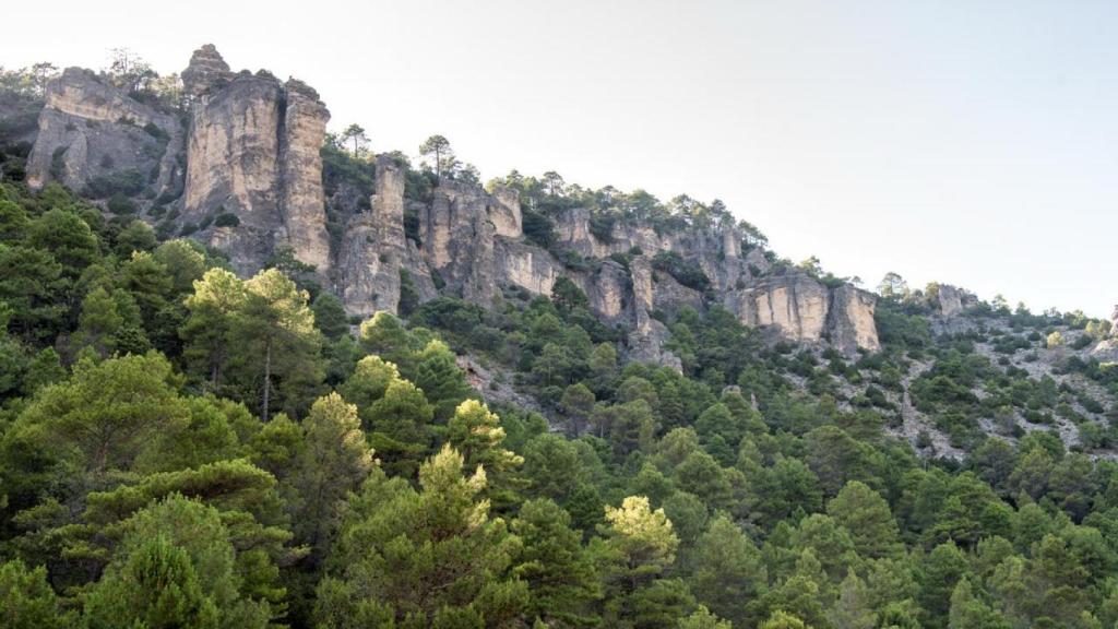 Paraje forestal que pertenece al término forestal de El Recuenco.