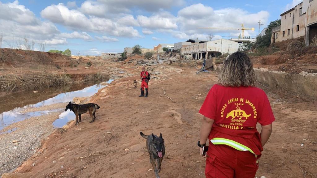 La Unidad Canina de Salvamiento con los perros de rescate.