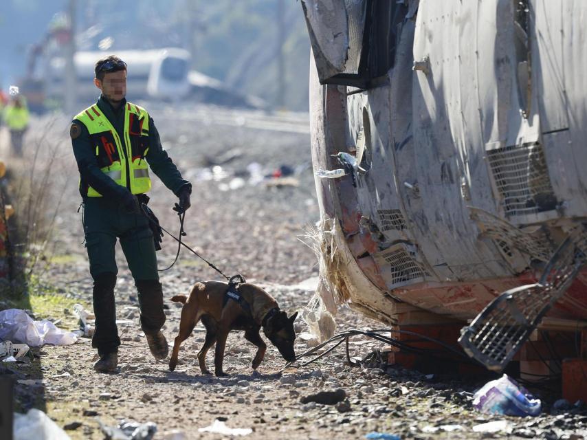 Tareas de rescate en Adamuz (Córdoba)