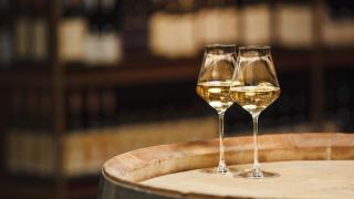 Vinos blancos a la última.