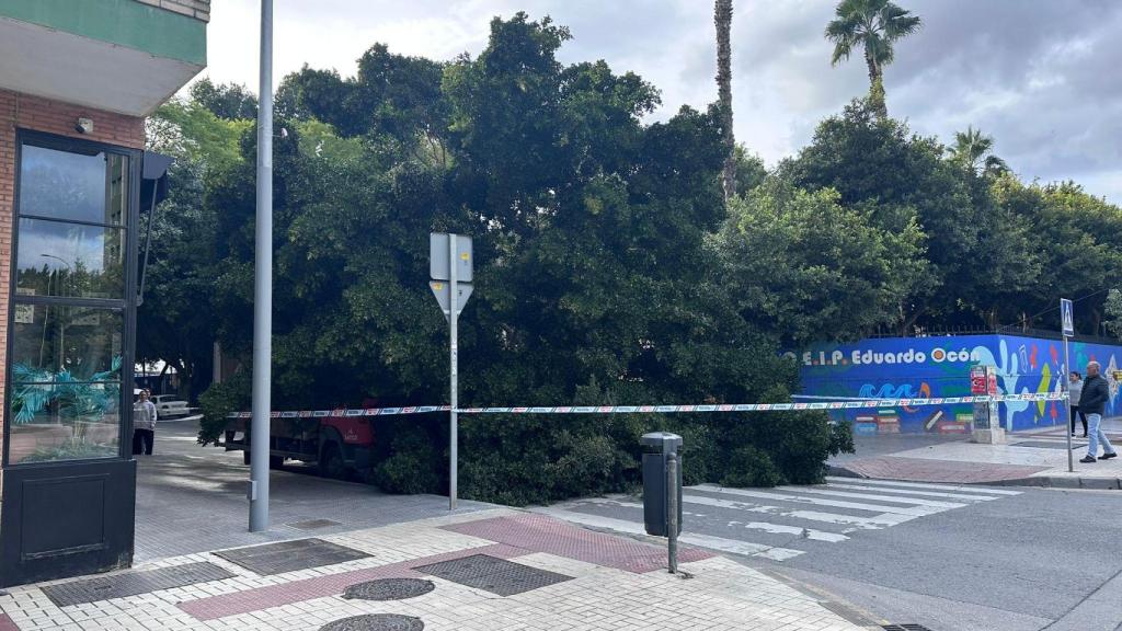 El árbol caído en la puesta del CEIP Eduardo Ocón de Huelin