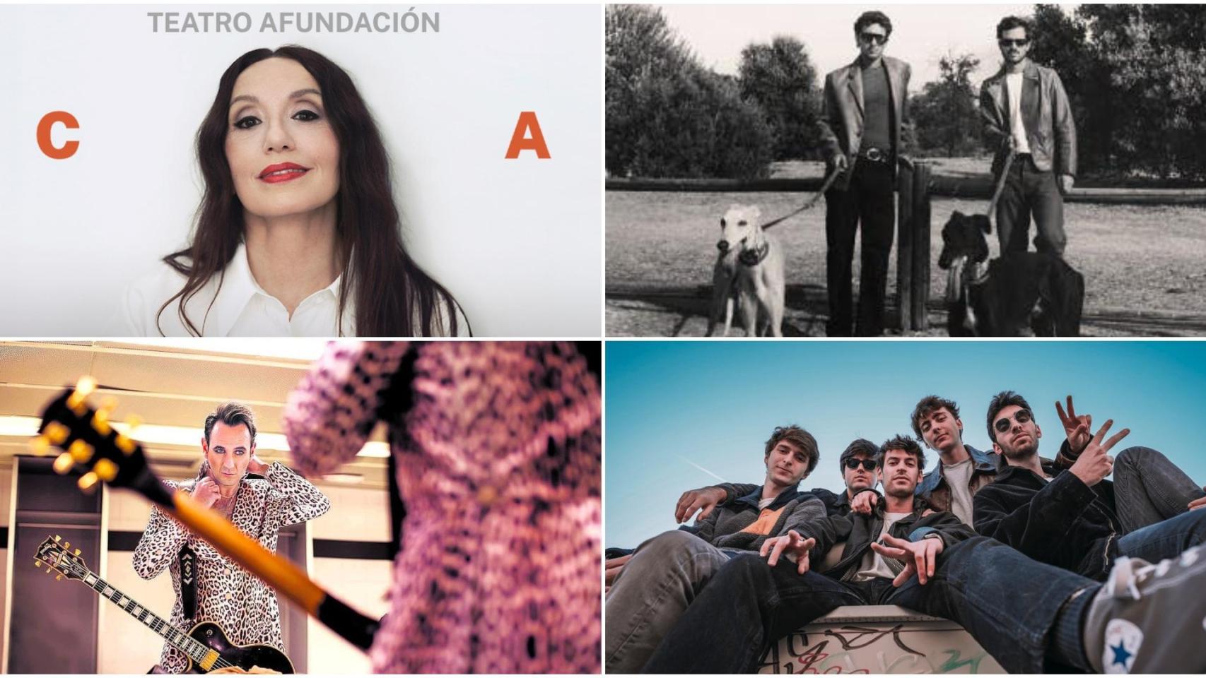 Luz Casal, Taburete, Malmö 040 y más: Todos los conciertos de febrero 2026 que podrás disfrutar en Vigo