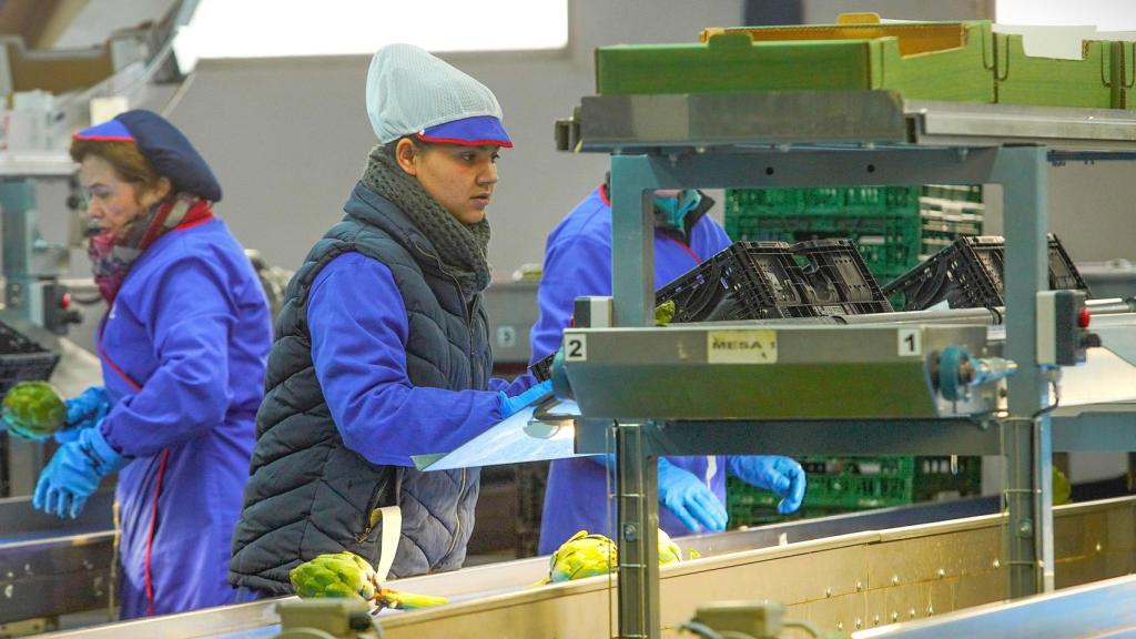 Imagen de archivo de una trabajadora.