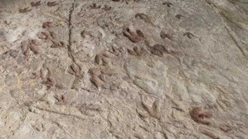 Huellas de dinosaurios en Alpuente.