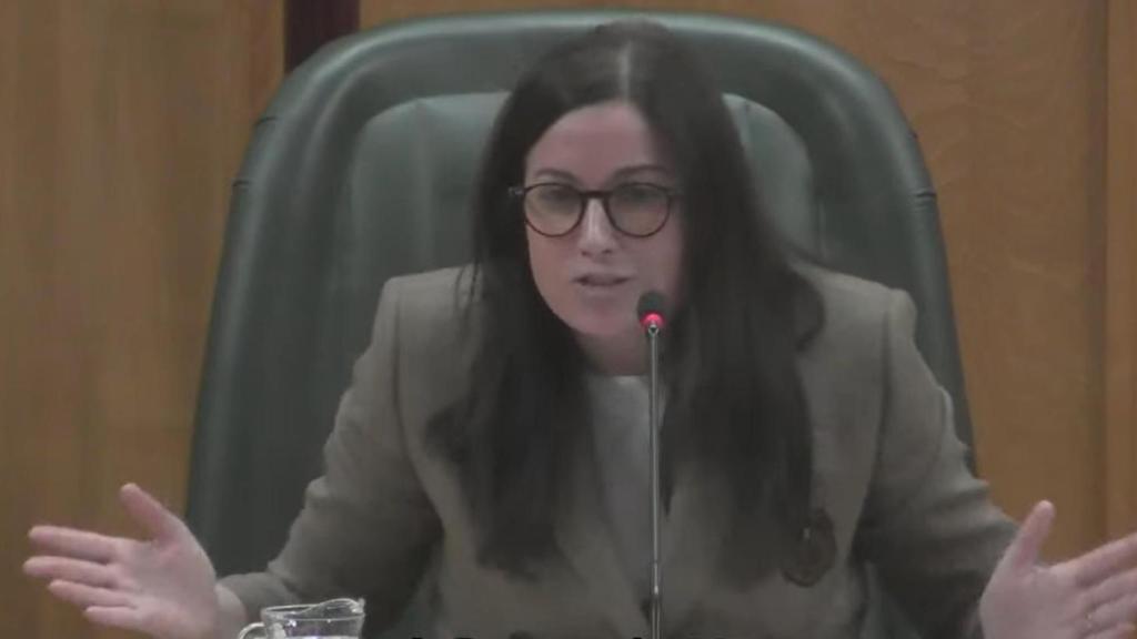 La concejal de Medio Ambiente y Movilidad, Tatiana Gaudes, en la comisión de su área celebrada este viernes.
