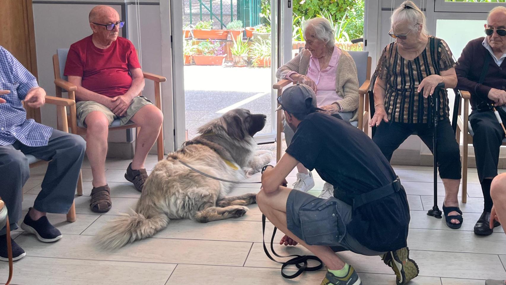 Una perra del refugio CIMPA en una residencia de ancianos.