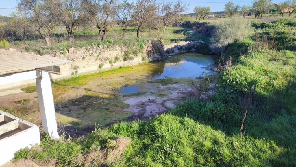 Estado de abandono de una zona de Moriscote.