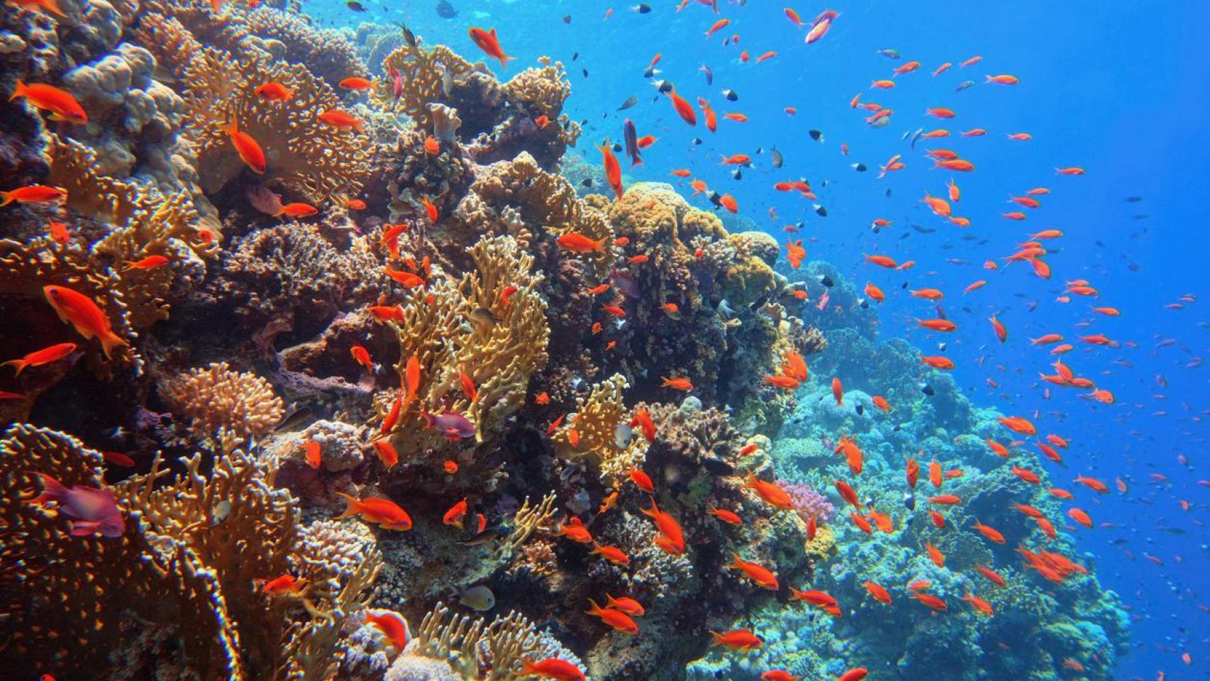 Reconstruir el Mediterráneo para proteger nuestro futuro común