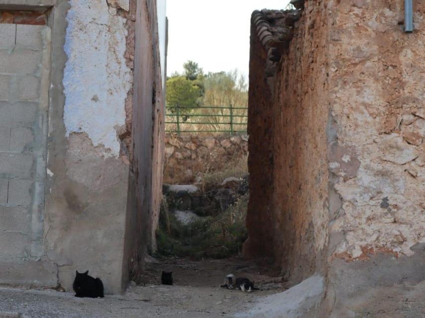 Una calle de Moriscote.