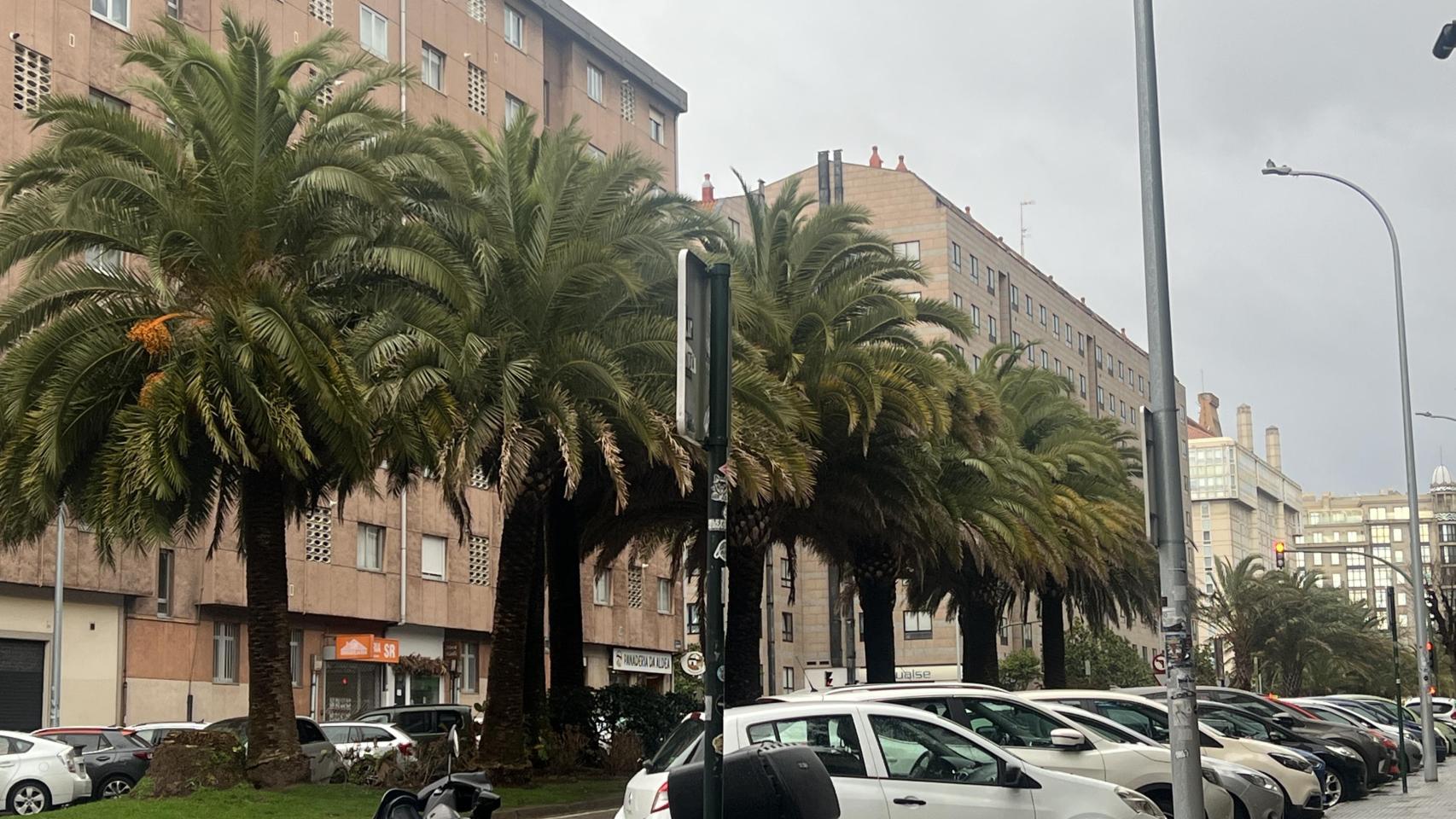 Una calle de A Coruña antes de las lluvias.