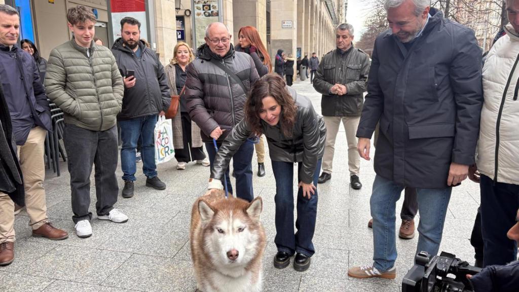 Isabel Díaz Ayuso y Jorge Azcón junto al perro Jeyko