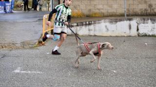 Imagen de la Canicross de Guijuelo.