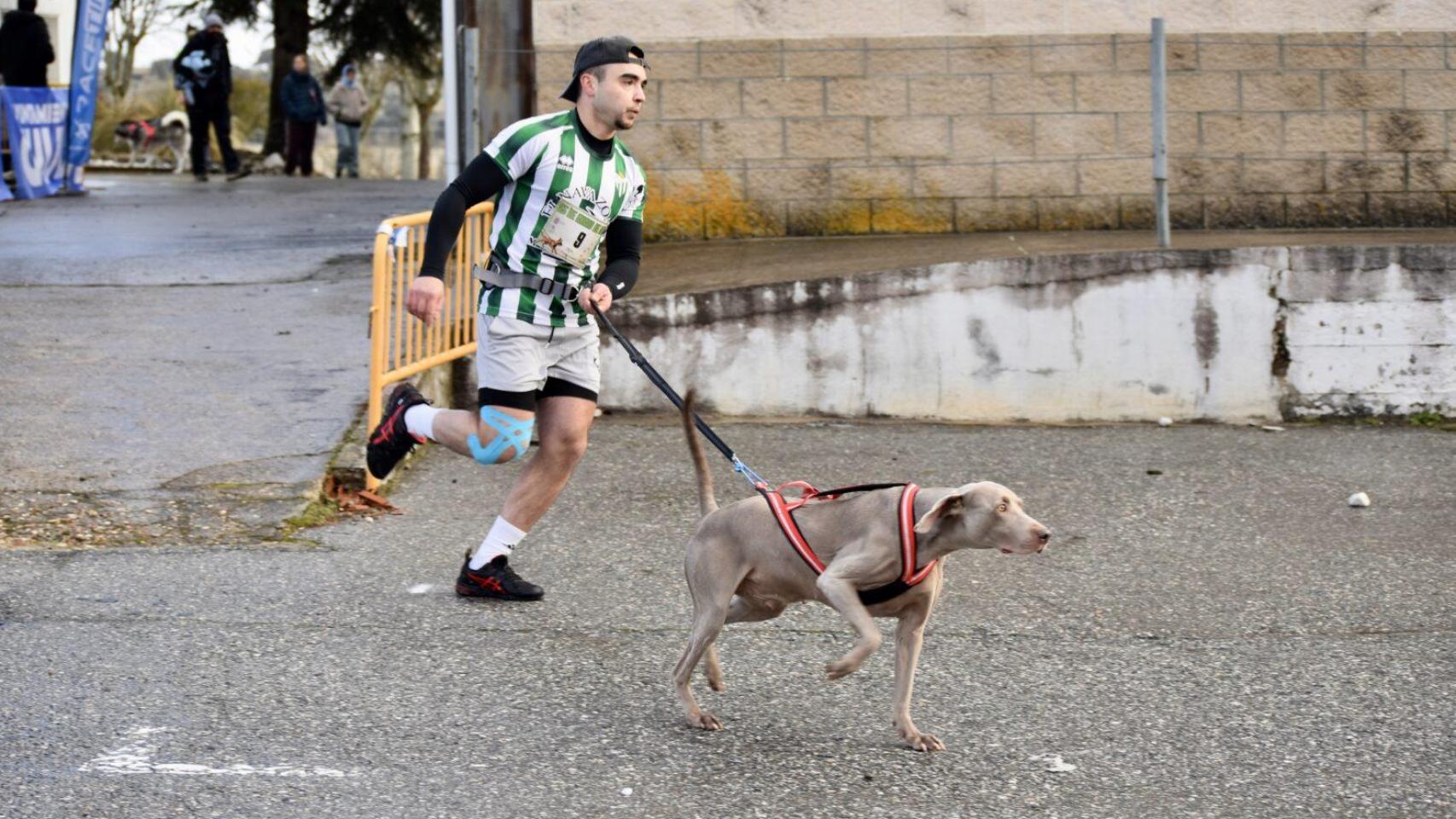 Imagen de la Canicross de Guijuelo.