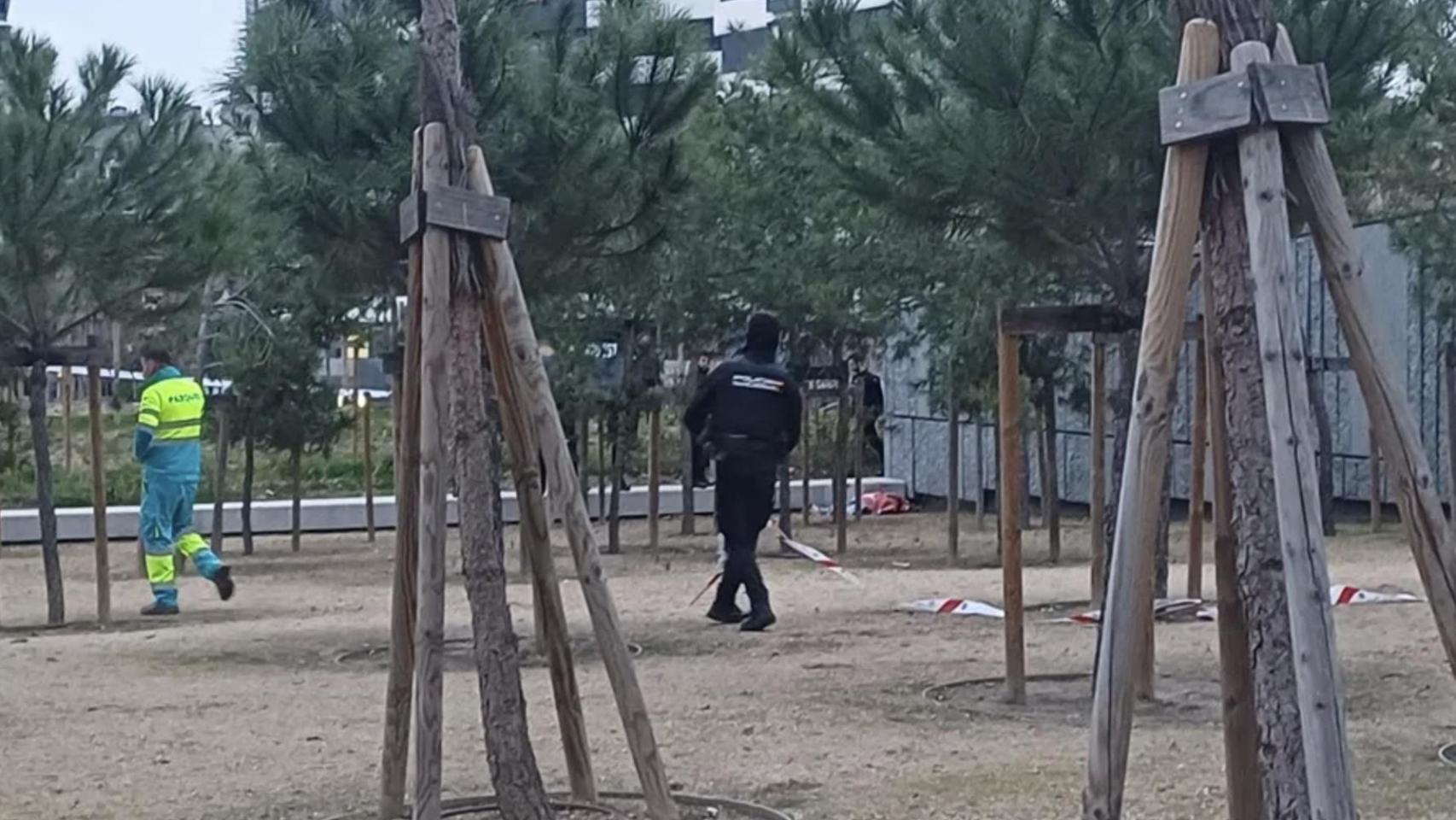 Imagen del cuerpo hallado a primera hora de este lunes en el parque de Madrid Río.