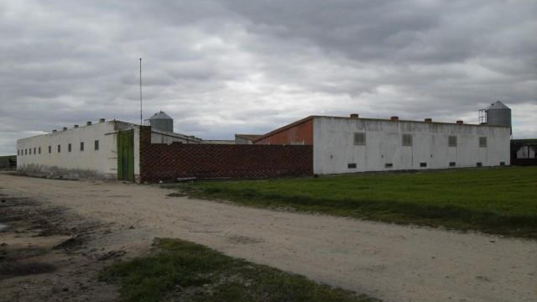 Imagen de la finca agroganadera que ha salido a subasta pública en Villaflores