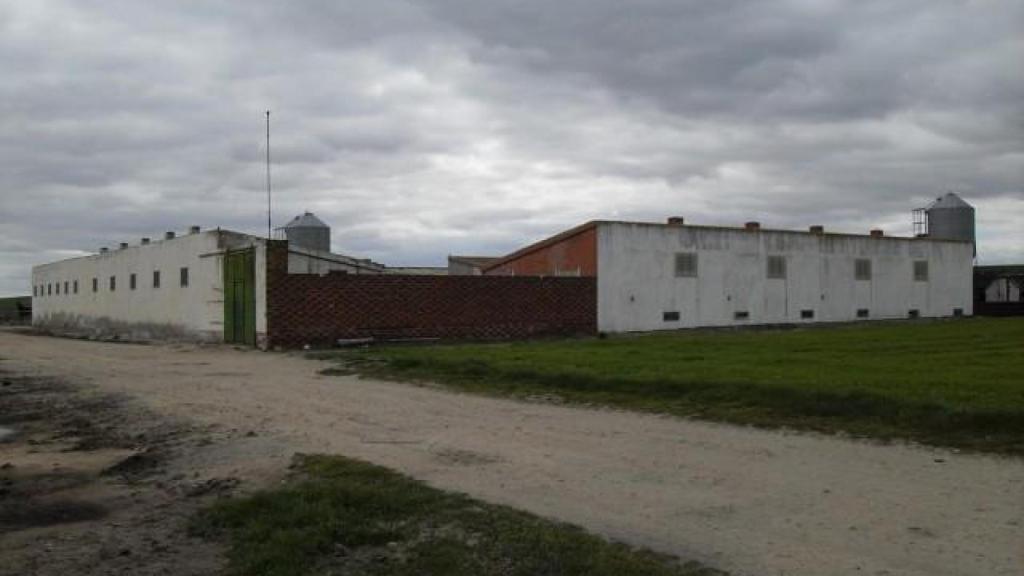 Imagen de la finca agroganadera que ha salido a subasta pública en Villaflores