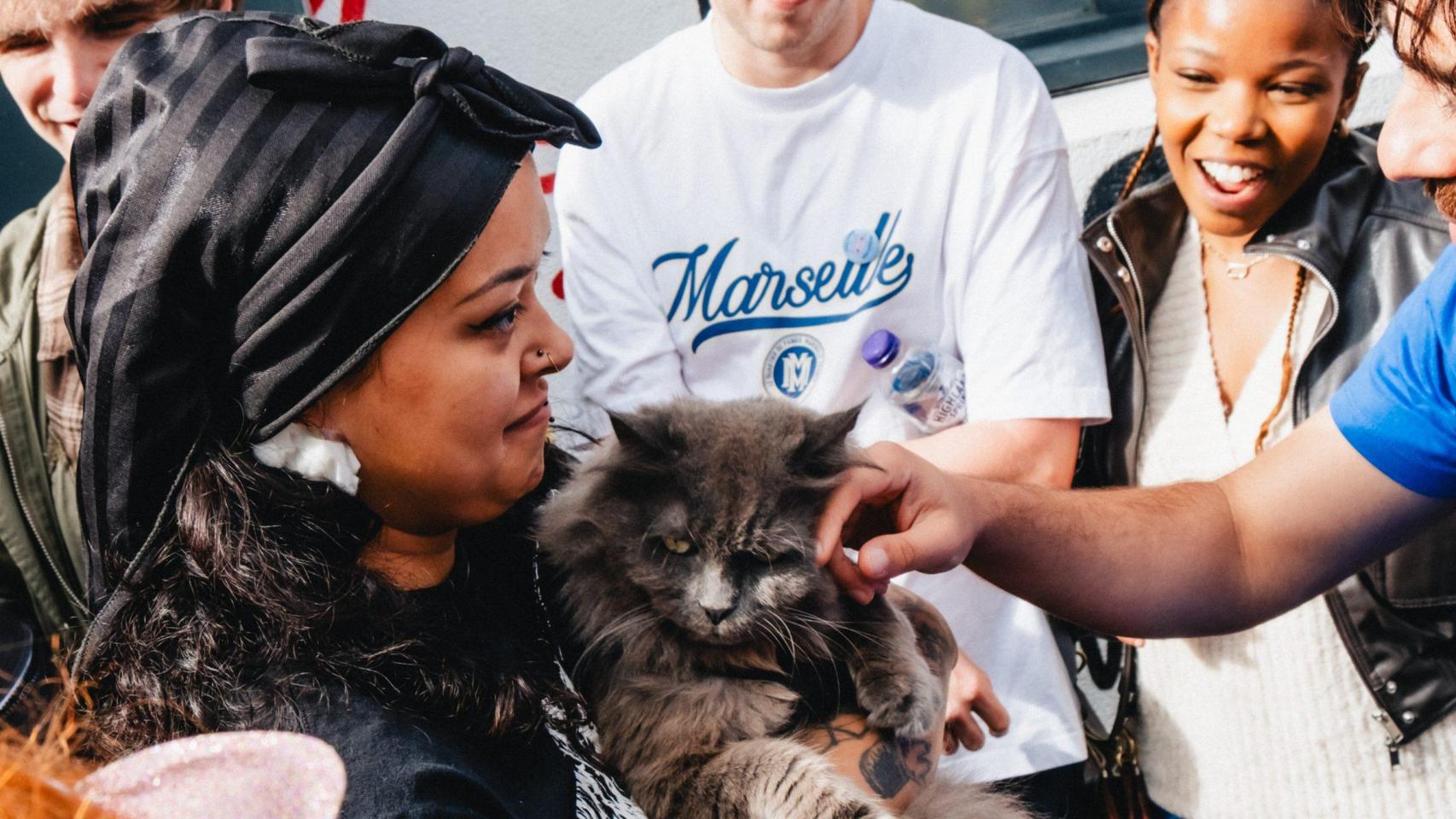 Un gato en brazos de una chica.