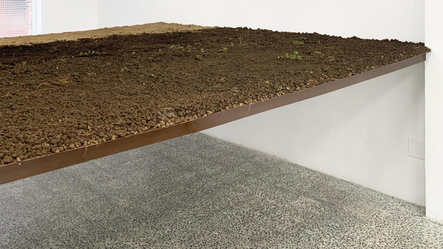 'Arriba, Arriba', 2026 (detalle 1). Foto: Picnic