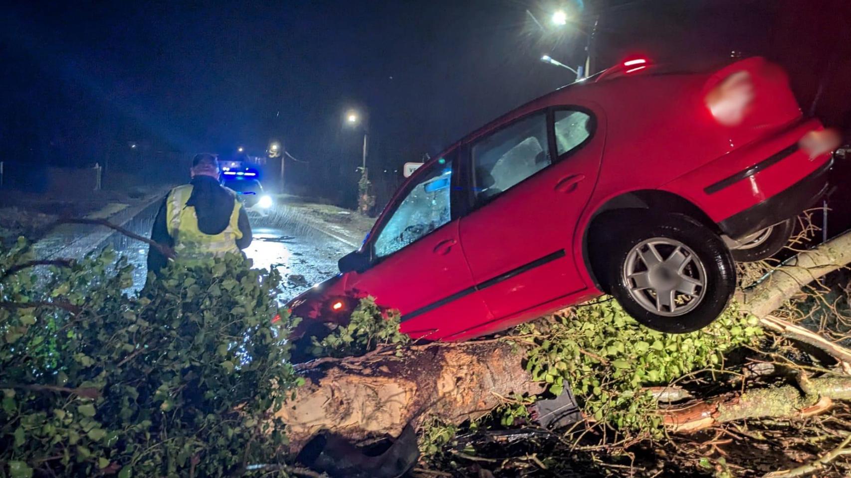 Un vehículo choca contra un árbol caído por el temporal