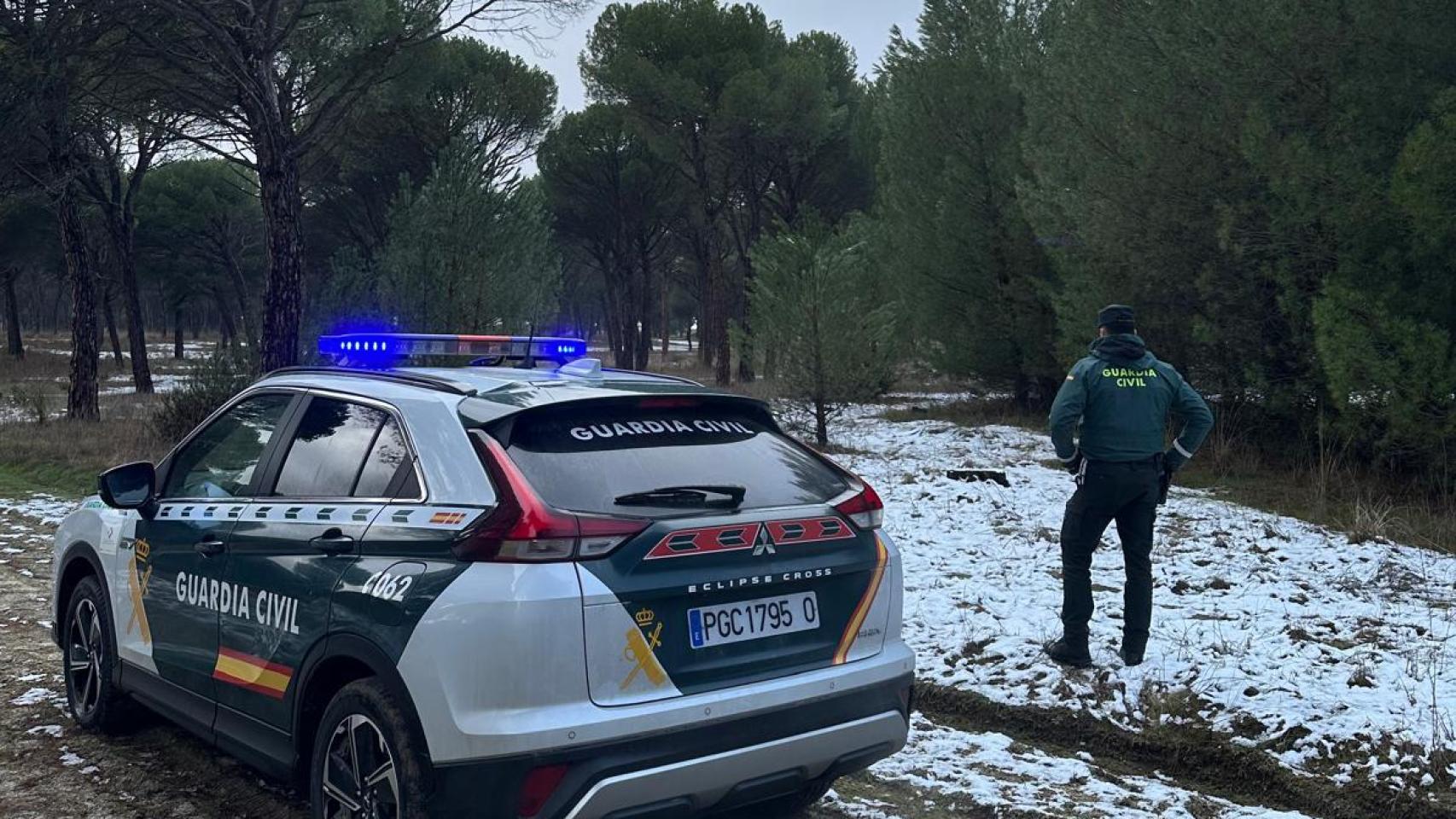 La Guardia Civil comprueba in situ que los árboles han sido talados y sustraídos