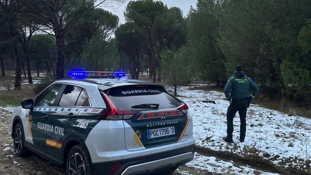 La Guardia Civil comprueba in situ que los árboles han sido talados y sustraídos