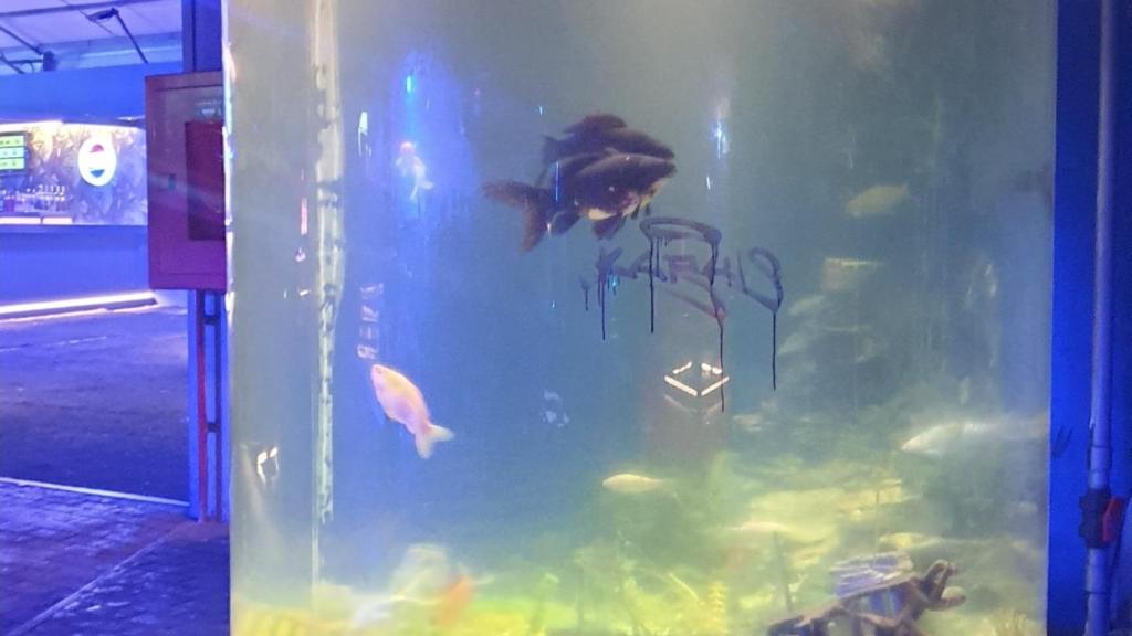 Los peces en el acuario en la discoteca Fabrik.