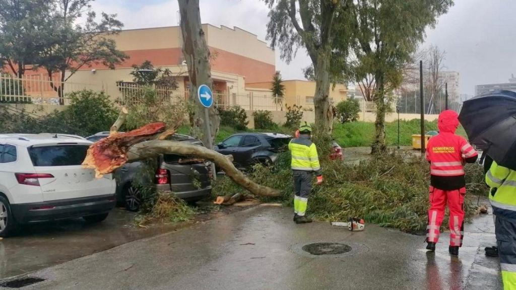 Destrozos causados en la provincia de Málaga por la borrasca Joseph.