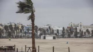 Captura de pantalla 2026-01-28 094402