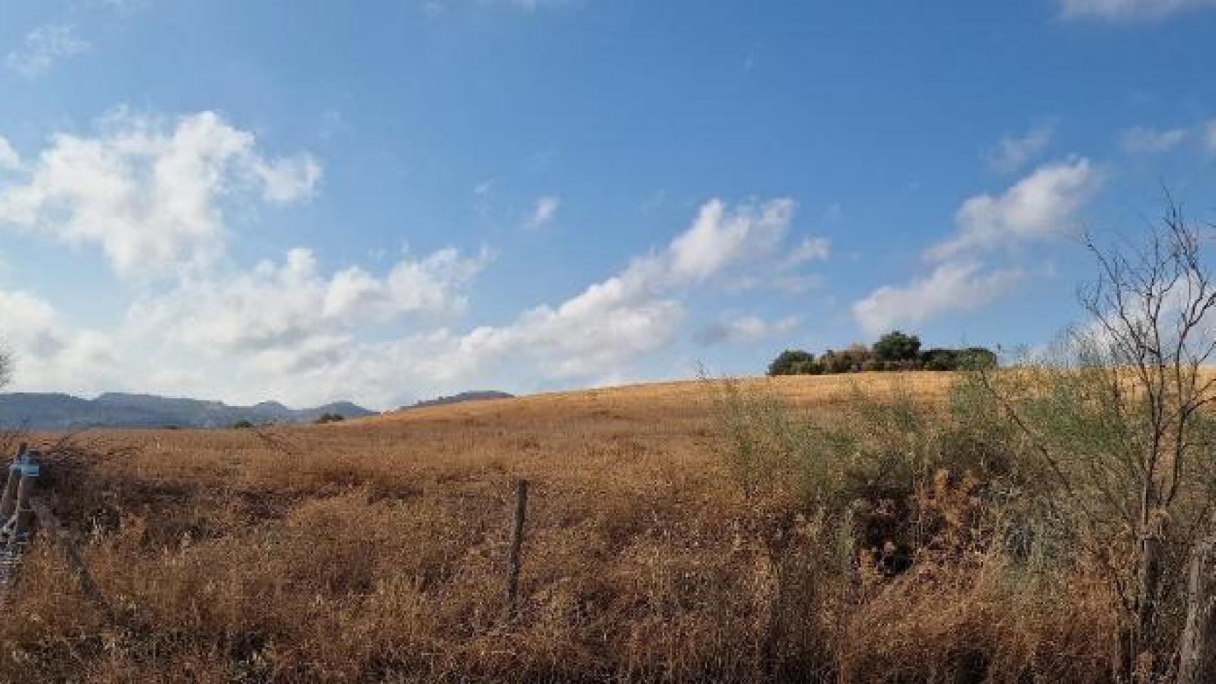 Vista de los terrenos de Antequera donde se proyecta la planta de hidrógeno verde.