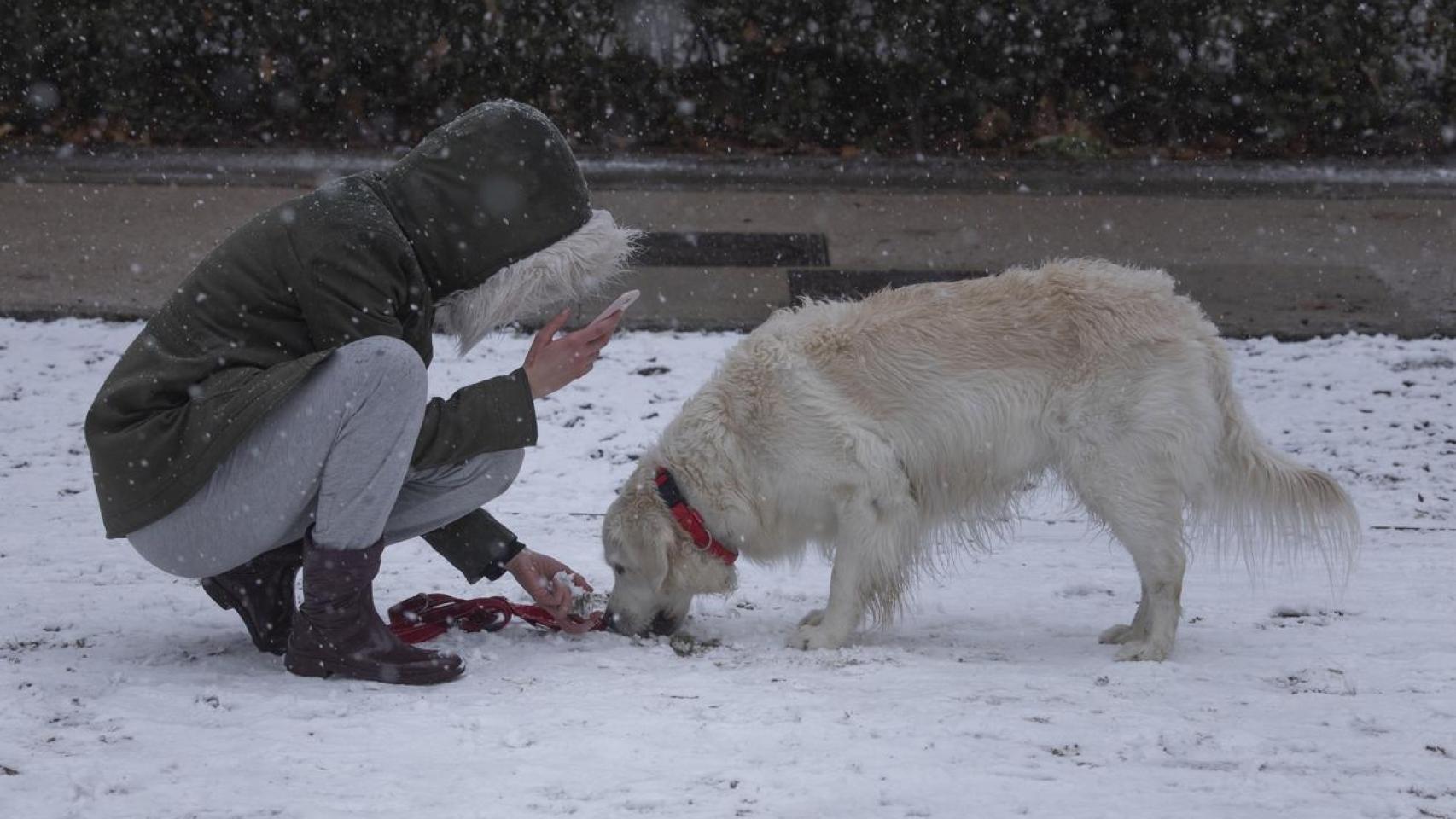 Una persona con un perro en Madrid.